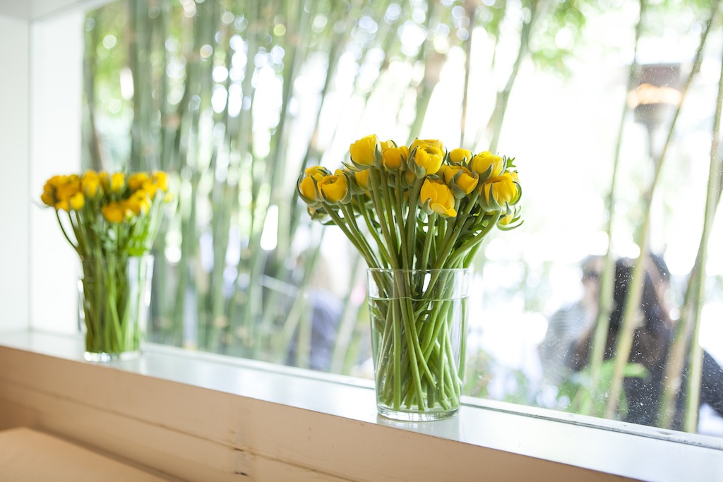 פרחים על החלון ברמת השרון